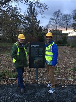 Earls visit Amphitheatre for a Tree
