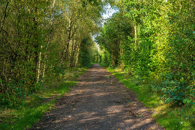 Viridor Wood footpath