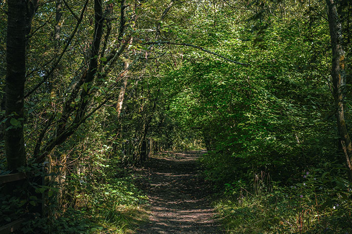 Woodshaw &ndash; footpath