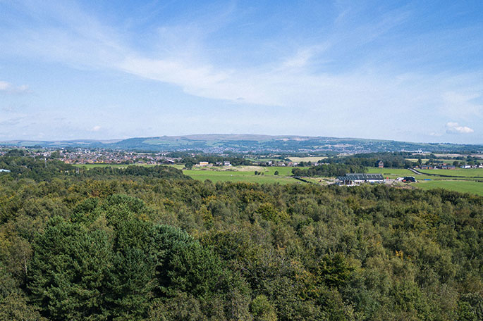 Woodshaw &ndash; a Woodland Trust Wood